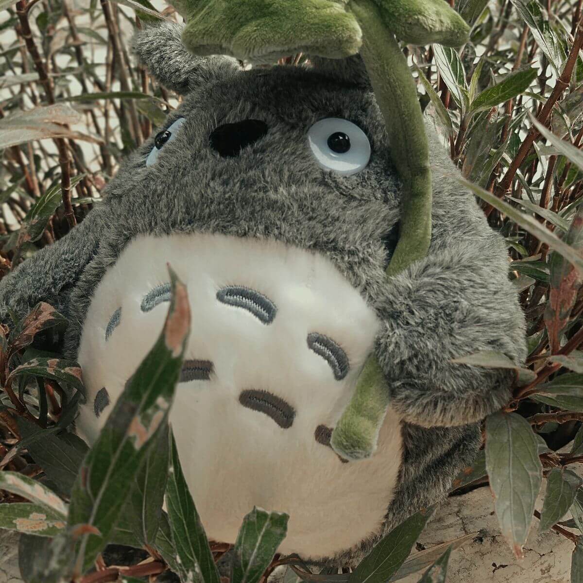 Pelúcia Totoro Folha de Lotus GHIBLI STORE (1 (2)